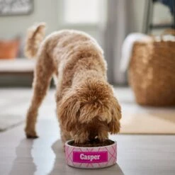 Frisco Personalized Plaid Ceramic Dog Bowl -WoofyPlay Store 287013 PT4. AC SS1800 V1639518088