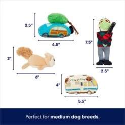 Frisco Holiday House Hide & Seek Puzzle Plush Squeaky Dog Toy -WoofyPlay Store 287083 PT2. AC SS1800 V1695046042