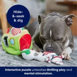 Frisco Holiday Rocket Ship Hide & Seek Puzzle Plush Squeaky Dog Toy 12 Frisco Holiday Rocket Ship Hide & Seek Puzzle Plush Squeaky Dog Toy -WoofyPlay Store 287101 PT5. AC SS1800 V1695659151