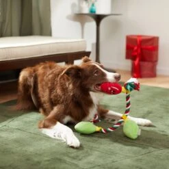 Frisco Holiday Lights Plush With Rope Squeaky Dog Toy -WoofyPlay Store 287109 PT3. AC SS1800 V1632775707