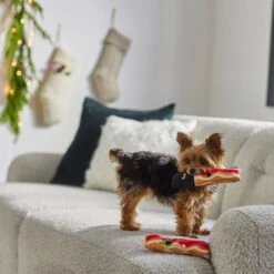 Frisco Holiday Bacon Plush Squeaky Dog Toy, 2 Count -WoofyPlay Store 287143 PT3. AC SS1800 V1632774888