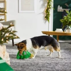 Frisco Holiday Tree Thin Plush Squeaky Dog Toy -WoofyPlay Store 287167 PT3. AC SS1800 V1632773873