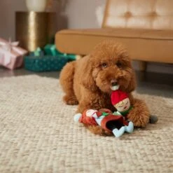 Frisco Holiday Carolers Plush Squeaky Dog Toy, 3 Count -WoofyPlay Store 287169 PT3. AC SS1800 V1632774907