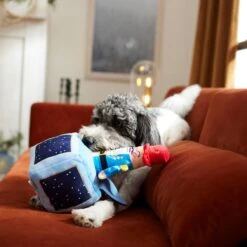 Frisco Nutcracker-in-a-Box Plush Squeaky Dog Toy -WoofyPlay Store 287173 PT3. AC SS1800 V1632773316