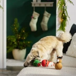 Frisco Holiday Santa & Friends Latex Squeaky Dog Toy -WoofyPlay Store 287181 PT3. AC SS1800 V1632775363