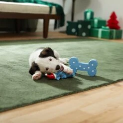 Frisco Blue Bundle Latex Squeaky Puppy Toy, 2 Count 7 Frisco Blue Bundle Latex Squeaky Puppy Toy, 2 Count -WoofyPlay Store 287185 PT3. AC SS1800 V1632775643