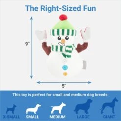 Frisco Holiday Naughty Or Nice Snowman Reversible Plush Squeaky Dog Toy -WoofyPlay Store 287219 PT2. AC SS1800 V1637704003