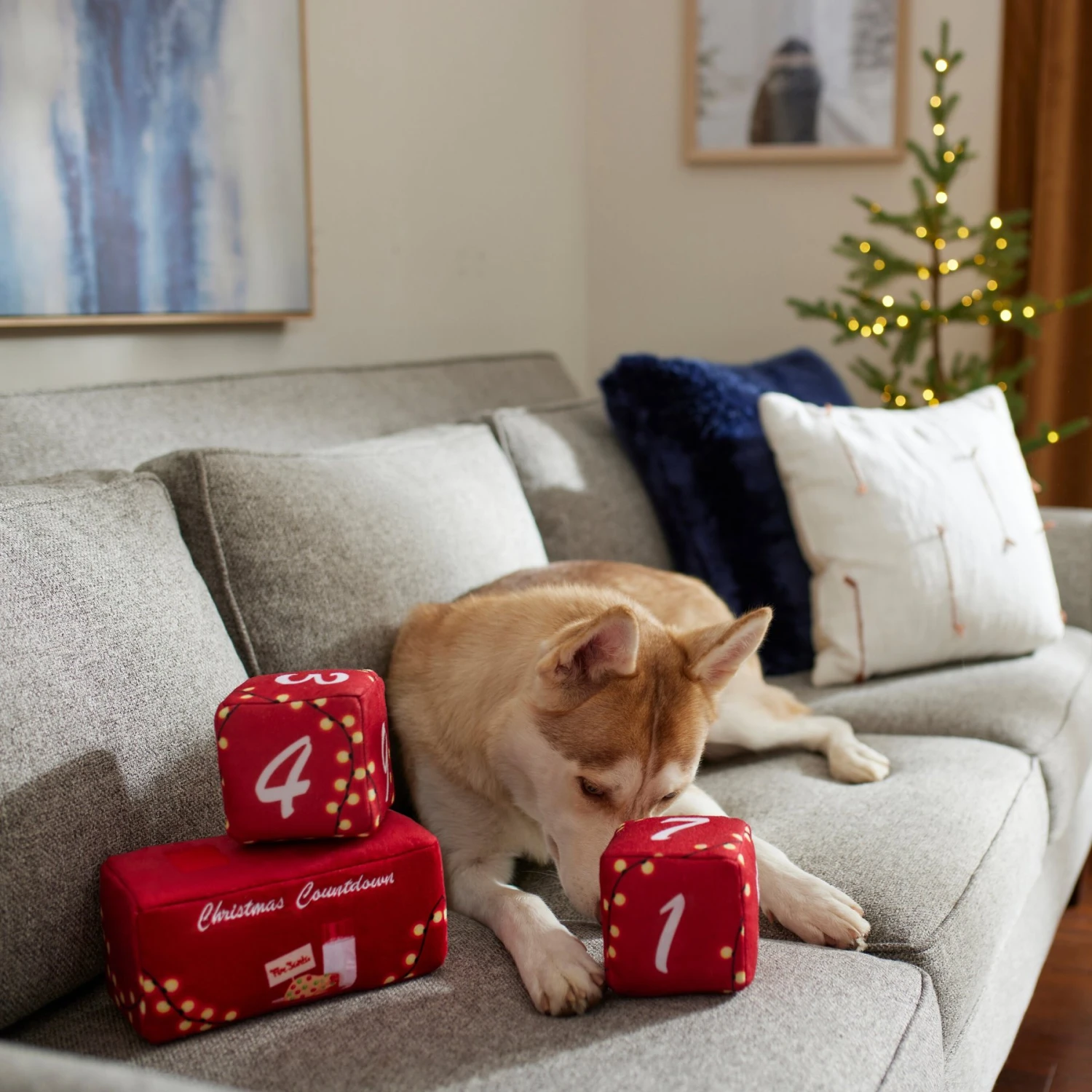 Frisco Holiday 12 Day Countdown Blocks Plush Squeaky Dog Toy, 3 Count 3 Frisco Holiday 12 Day Countdown Blocks Plush Squeaky Dog Toy, 3 Count - Image 3