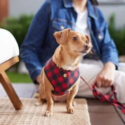 Frisco Fashion Over-The-Head Harness, Blue Plaid -WoofyPlay Store 287472 PT8. AC SS1800 V1632316407