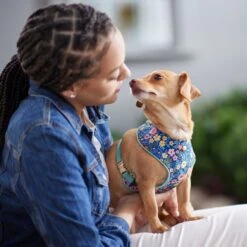 Frisco Fashion Over-The-Head Harness, Tropical Floral -WoofyPlay Store 287476 PT8. AC SS1800 V1632316953