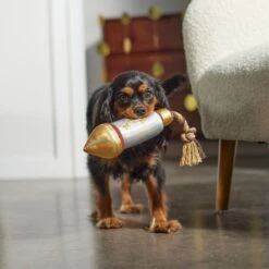 Frisco Firework Plush With Rope Squeaky Dog Toy -WoofyPlay Store 288480 PT3. AC SS1800 V1638291301