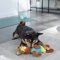 Frisco Fitness Bear Reversible Plush Squeaky Dog Toy -WoofyPlay Store 288897 PT3. AC SS1800 V1638291713