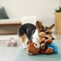 Frisco Yoga Bear Plush Squeaky Dog Toy -WoofyPlay Store 288903 PT3. AC SS1800 V1638288516