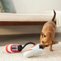 Frisco Running Shoes Plush With Rope Dog Toy -WoofyPlay Store 288915 PT3. AC SS1800 V1638292478