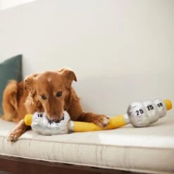 Frisco Weight Bar Wagazoo Plush Squeaky Dog Toy 5 Frisco Weight Bar Wagazoo Plush Squeaky Dog Toy -WoofyPlay Store 288917 PT3. AC SS1800 V1638292413