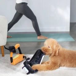 Frisco Treadmill & Bike Plush Squeaky Dog Toy, 2 Count -WoofyPlay Store 288921 PT3. AC SS1800 V1638290517