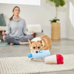 Frisco Protein & Water Bottle Cruncher Dog Toy 5 Frisco Protein & Water Bottle Cruncher Dog Toy -WoofyPlay Store 288927 PT3. AC SS1800 V1638291847