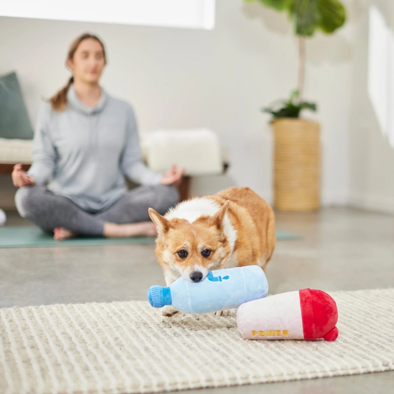 Frisco Protein & Water Bottle Cruncher Dog Toy 3 Frisco Protein & Water Bottle Cruncher Dog Toy - Image 3