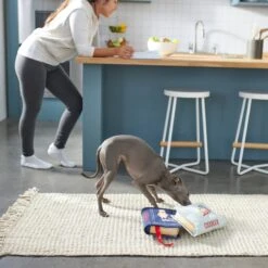 Frisco Cookbooks Plush Squeaky Dog Toy, 2 Count -WoofyPlay Store 288937 PT3. AC SS1800 V1638287852