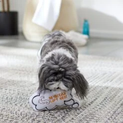 Frisco Message Bubble Plush Squeaky Dog Toy -WoofyPlay Store 288941 PT3. AC SS1800 V1638289328