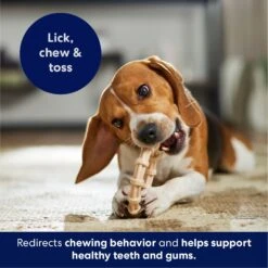 Frisco Ring Tough Nylon Chew Dog Toy, Chicken Flavor 10 Frisco Ring Tough Nylon Chew Dog Toy, Chicken Flavor -WoofyPlay Store 290533 PT4. AC SS1800 V1695760990