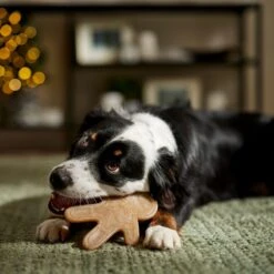 Frisco Nylon Gingerbread Dog Chew Toy, Beef Flavor, Medium 7 Frisco Nylon Gingerbread Dog Chew Toy, Beef Flavor, Medium -WoofyPlay Store 291385 PT3. AC SS1800 V1668108316