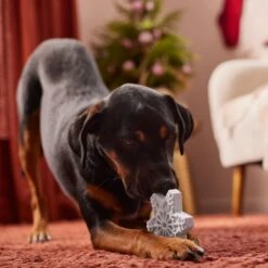 Frisco Holiday Nylon Snowflake Dog Chew Toy, Peanut Butter Flavor, Medium -WoofyPlay Store 291387 PT3. AC SS1800 V1629306692
