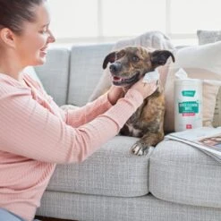Frisco Gentle Cleaning Waterless Grooming Wipes For Puppies & Kittens, Green Tea Scent -WoofyPlay Store 291592 PT4. AC SS1800 V1627306695