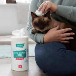 Frisco Gentle Cleaning Waterless Grooming Wipes For Puppies & Kittens, Green Tea Scent -WoofyPlay Store 291592 PT5. AC SS1800 V1627306905