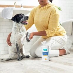 Frisco Deodorizing Paw & Bum Waterless Grooming Wipes For Dogs & Cats -WoofyPlay Store 291593 PT4. AC SS1800 V1627654025
