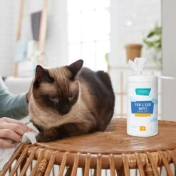 Frisco Deodorizing Paw & Bum Waterless Grooming Wipes For Dogs & Cats -WoofyPlay Store 291593 PT5. AC SS1800 V1627653728