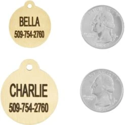 Frisco Brass Personalized Dog & Cat ID Tag, Round -WoofyPlay Store 296194 PT5. AC SS1800 V1628186525