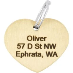 Frisco Brass Personalized Dog & Cat ID Tag, Heart -WoofyPlay Store 296197 PT4. AC SS1800 V1628186527