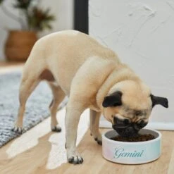 Frisco Watercolors Ceramic Personalized Dog Bowl -WoofyPlay Store 296664 PT2. AC SS1800 V1625764663