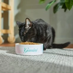 Frisco Watercolors Ceramic Personalized Dog Bowl -WoofyPlay Store 296664 PT3. AC SS1800 V1625764646