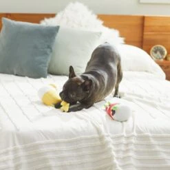 Frisco Brunch Bottomless Mimosas Plush Squeaky Dog Toy, 2 Count -WoofyPlay Store 297226 PT2. AC SS1800 V1642088368