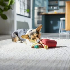 Frisco Brunch Bloody Mary Plush Squeaky Dog Toy -WoofyPlay Store 297228 PT2. AC SS1800 V1642088343