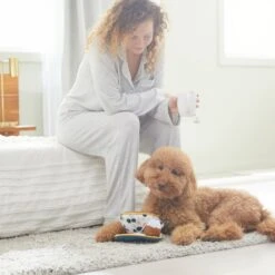 Frisco Brunch Teacup Plush Squeaky Dog Toy -WoofyPlay Store 297232 PT3. AC SS1800 V1642087957