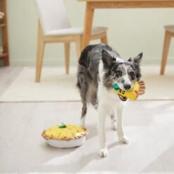 Frisco Brunch Quiche 2-in-1 Plush Squeaky Dog Toy -WoofyPlay Store 297248 PT3. AC SS1800 V1642089163