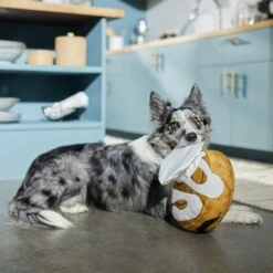 Frisco Brunch Cinnamon Roll Jumbo Plush Squeaky Dog Toy -WoofyPlay Store 297260 PT2. AC SS1800 V1642089012