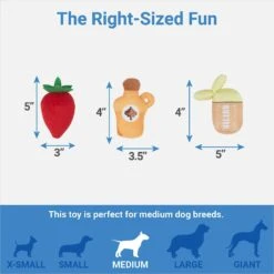 Frisco Brunch Pancake Hide & Seek Puzzle Plush Squeaky Dog Toy -WoofyPlay Store 297266 PT2. AC SS1800 V1643916712