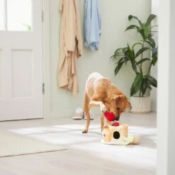 Frisco Brunch Pancake Hide & Seek Puzzle Plush Squeaky Dog Toy -WoofyPlay Store 297266 PT3. AC SS1800 V1642087986