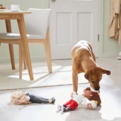 Frisco Brunch Chef & Waitress Plush Squeaky Dog Toy, 2 Count -WoofyPlay Store 297278 PT2. AC SS1800 V1642088629