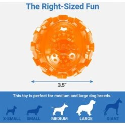 Frisco Fetch Squeaky TPR Ball Dog Toy & Bones & Chews Pig Ear Chews Dog Treats -WoofyPlay Store 297964 PT2. AC SS1800 V1623255143