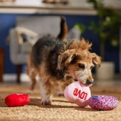 Frisco Valentine Hearts Plush Squeaky Dog Toy 6 Frisco Valentine Hearts Plush Squeaky Dog Toy -WoofyPlay Store 298919 PT3. AC SS1800 V1701365170