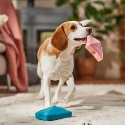 Frisco Valentine Love Letters Latex Squeaky Dog Toy 6 Frisco Valentine Love Letters Latex Squeaky Dog Toy -WoofyPlay Store 298925 PT3. AC SS1800 V1701365173