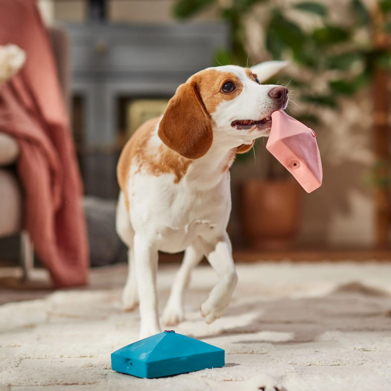 Frisco Valentine Love Letters Latex Squeaky Dog Toy 3 Frisco Valentine Love Letters Latex Squeaky Dog Toy - Image 3