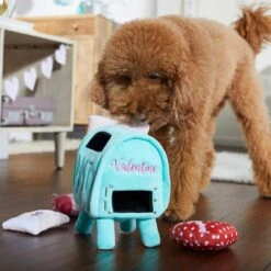 Frisco Valentine Love Letters Hide & Seek Puzzle Plush Squeaky Dog Toy -WoofyPlay Store 298929 PT3. AC SS1800 V1638987486