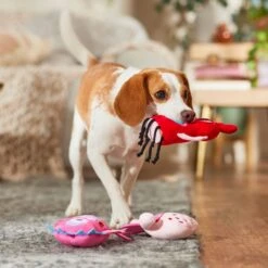 Frisco Valentine Love Monsters Plush Squeaky Dog Toy -WoofyPlay Store 298931 PT3. AC SS1800 V1701365187