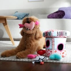 Frisco Valentine Kissing Booth Hide & Seek Puzzle Plush Squeaky Dog Toy -WoofyPlay Store 298943 PT3. AC SS1800 V1638987417